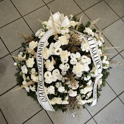 Orchidea Andrzej Biegaj